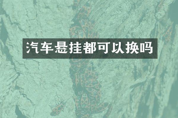 汽车悬挂都可以换吗