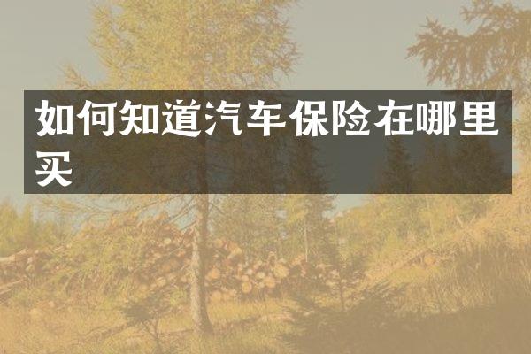 如何知道汽车保险在哪里买