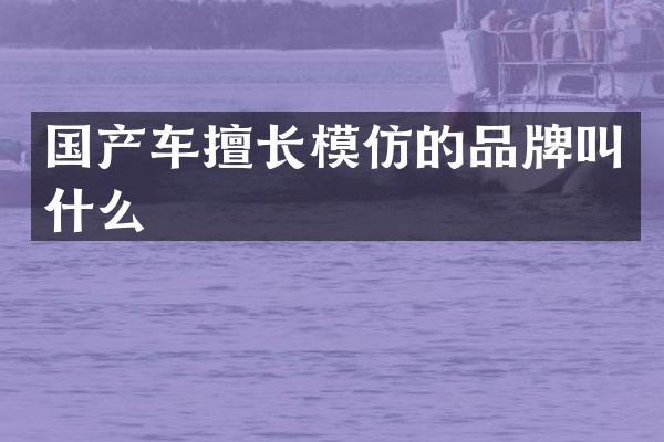 国产车擅长模仿的品牌叫什么