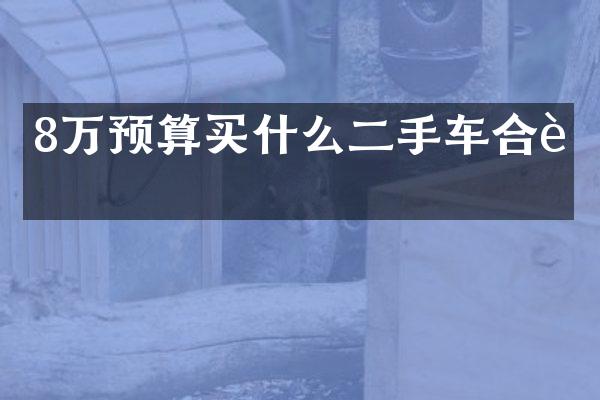 8万预算买什么二手车合资
