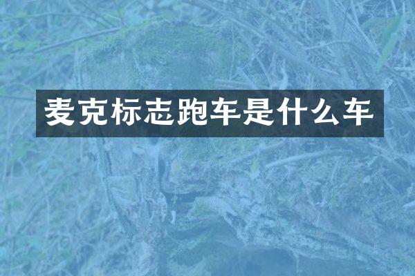 麦克标志跑车是什么车