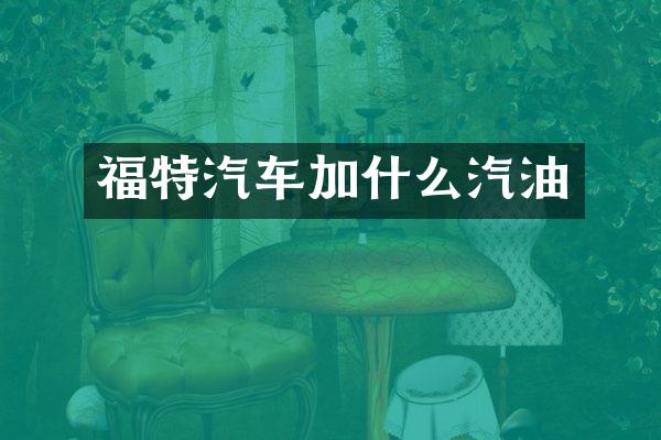 福特汽车加什么汽油