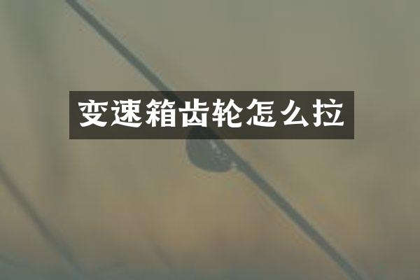变速箱齿轮怎么拉