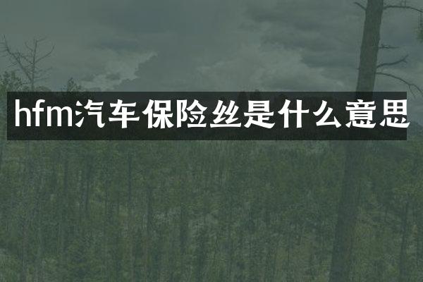 hfm汽车保险丝是什么意思