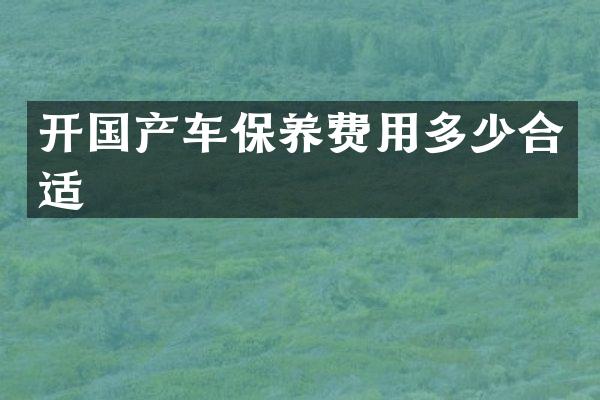 开国产车保养费用多少合适