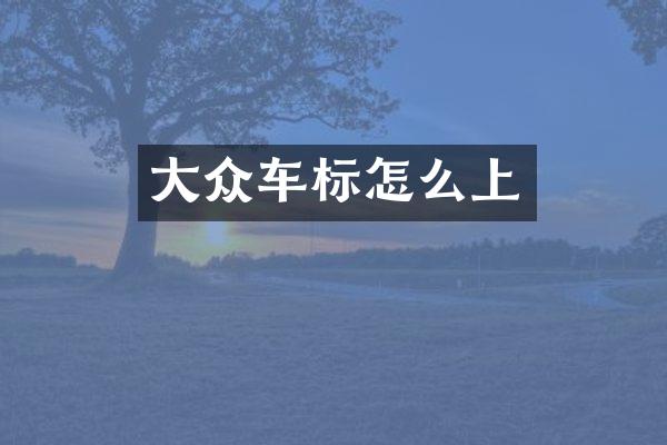 大众车标怎么上
