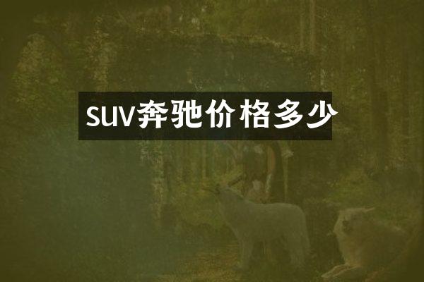 suv奔驰价格多少