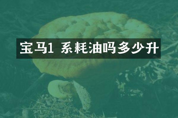 宝马1 系耗油吗多少升