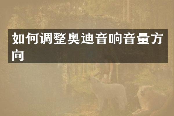 如何调整奥迪音响音量方向