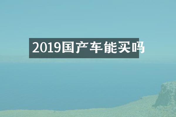 2019国产车能买吗