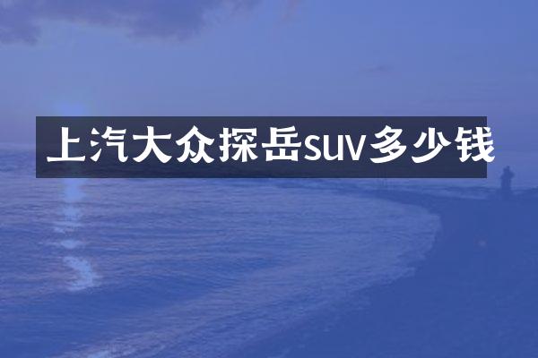 上汽大众探岳suv多少钱