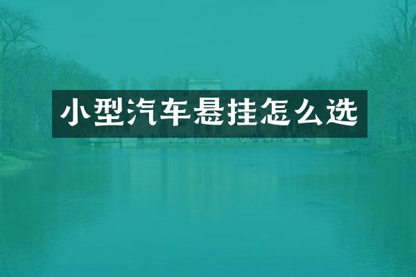 小型汽车悬挂怎么选