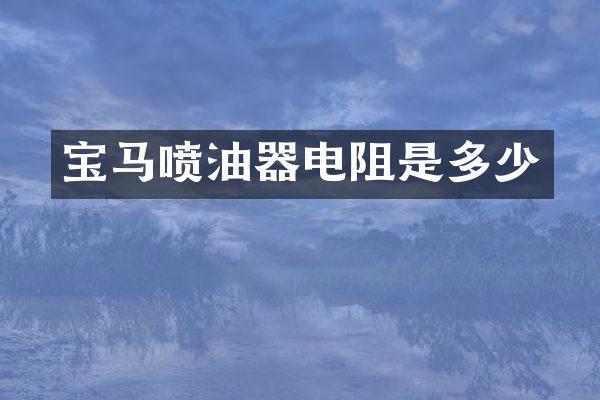 宝马喷油器电阻是多少