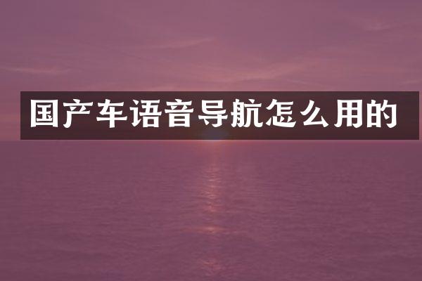国产车语音导航怎么用的