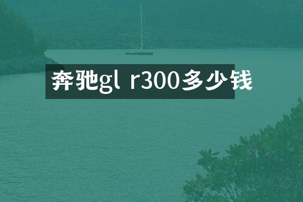 奔驰gl r300多少钱