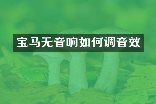 宝马无音响如何调音效