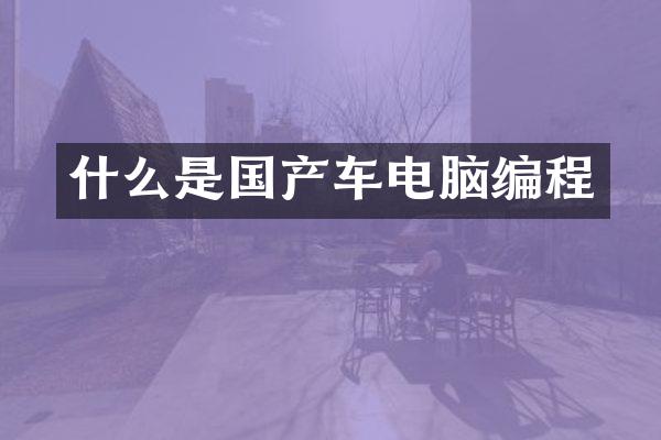 什么是国产车电脑编程