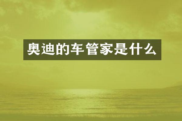 奥迪的车管家是什么