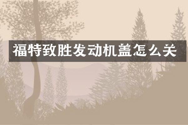 福特致胜发动机盖怎么关