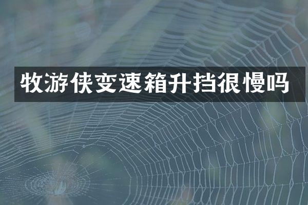 牧游侠变速箱升挡很慢吗