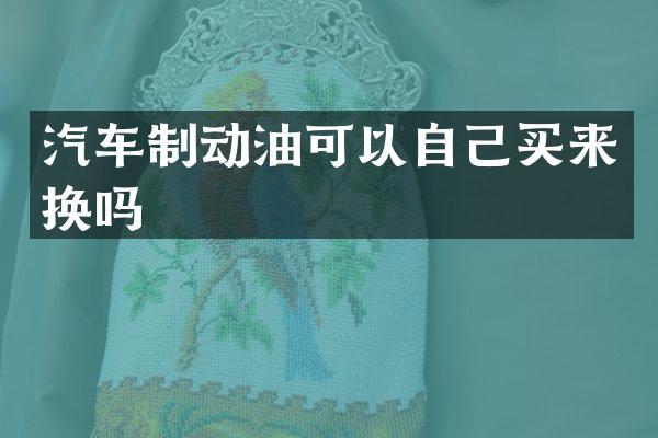 汽车制动油可以自己买来换吗