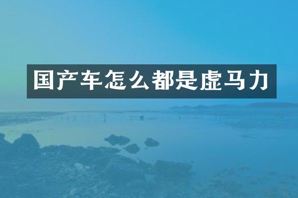 国产车怎么都是虚马力