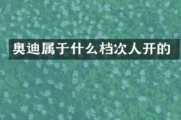 奥迪属于什么档次人开的