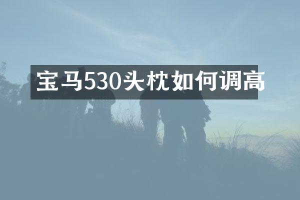 宝马530头枕如何调高