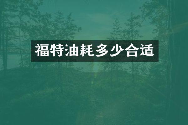 福特油耗多少合适