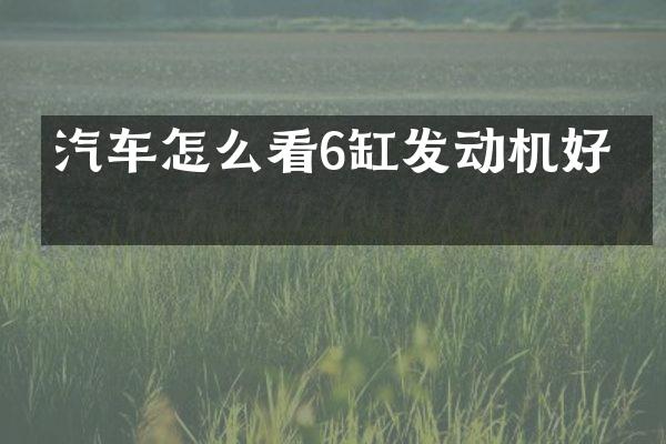 汽车怎么看6缸发动机好坏