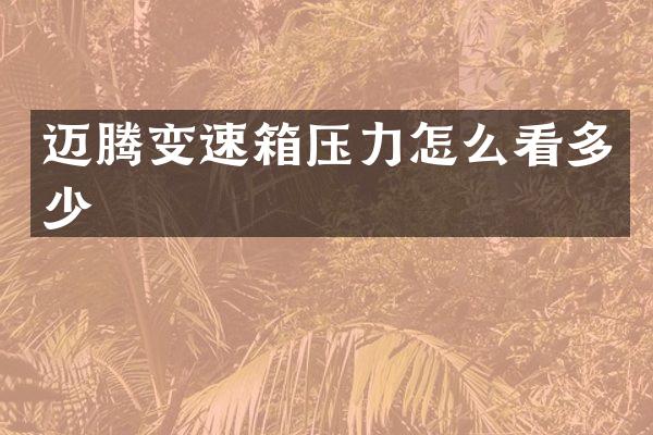迈腾变速箱压力怎么看多少