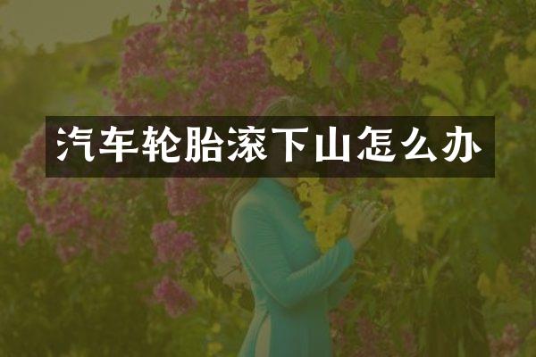 汽车轮胎滚下山怎么办