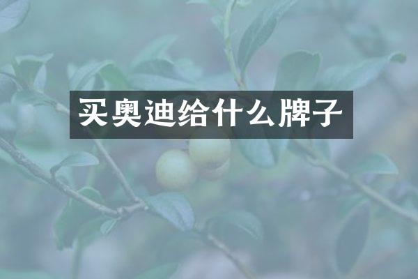 买奥迪给什么牌子