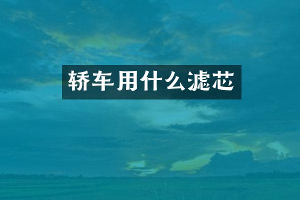 轿车用什么滤芯
