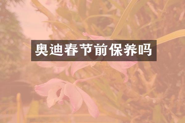 奥迪春节前保养吗