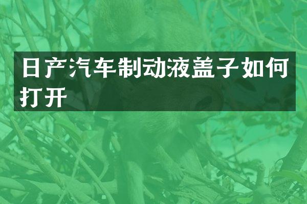 日产汽车制动液盖子如何打开