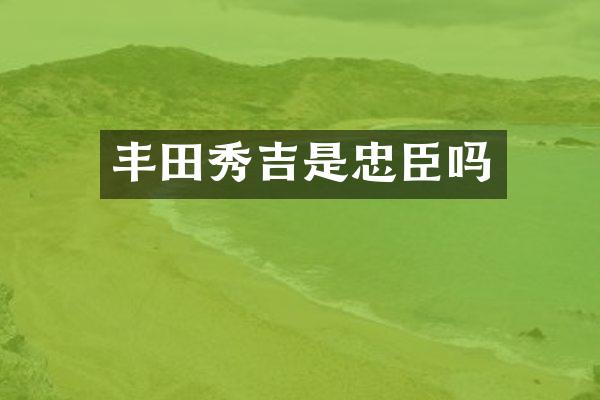 丰田秀吉是忠臣吗