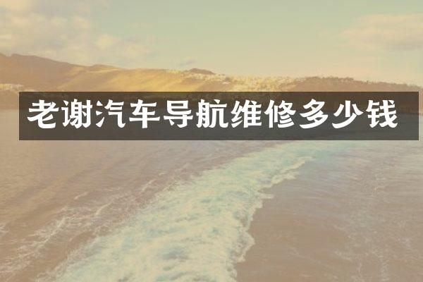 老谢汽车导航维修多少钱