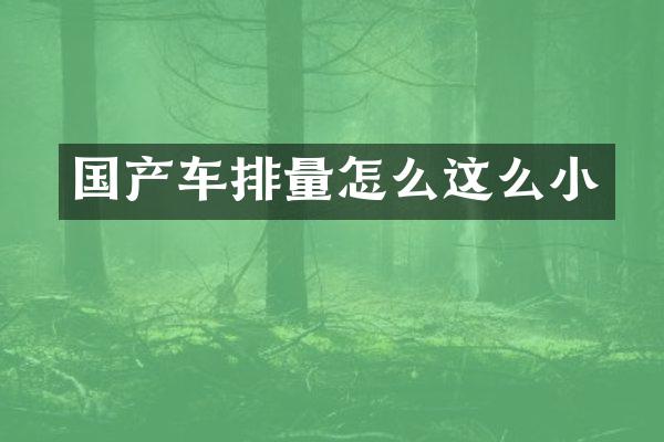 国产车排量怎么这么小