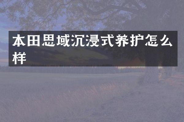 本田思域沉浸式养护怎么样