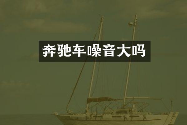 奔驰车噪音大吗