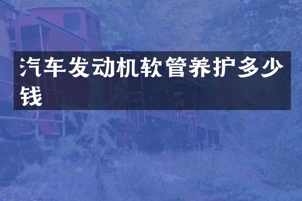 汽车发动机软管养护多少钱