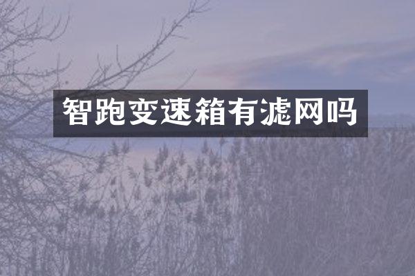 智跑变速箱有滤网吗