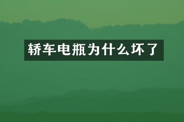 轿车电瓶为什么坏了