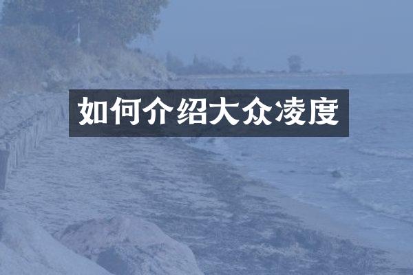 如何介绍大众凌度