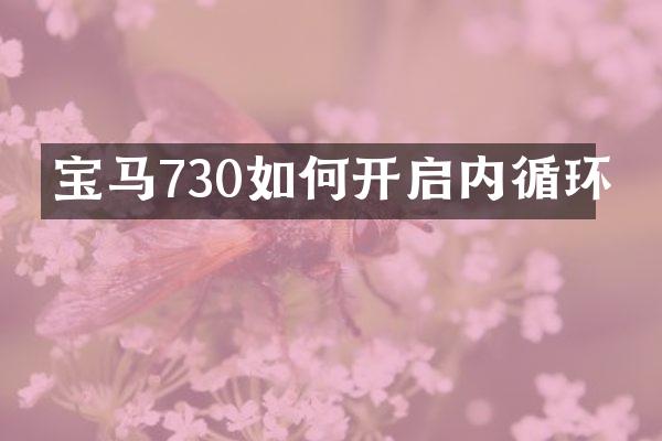 宝马730如何开启内循环