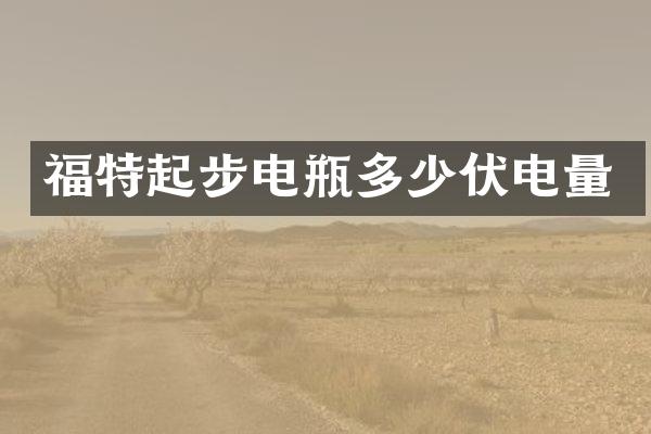 福特起步电瓶多少伏电量