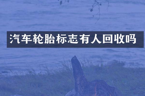 汽车轮胎标志有人回收吗