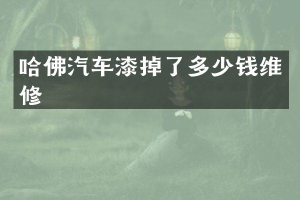 哈佛汽车漆掉了多少钱维修