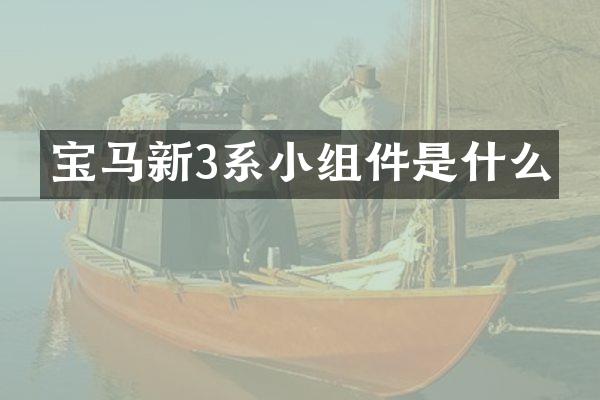 宝马新3系小组件是什么